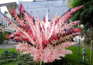 哈兰德：足球场上的新星崛起与未来潜力解析